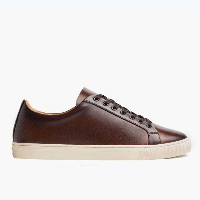 Premier Low Top Coffee Leather Sneakers رجالي